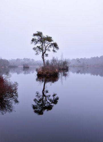 Reflexion im stillen Wasser