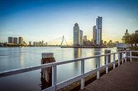 Rotterdamer Skyline von Katendrecht aus von Mark De Rooij Miniaturansicht