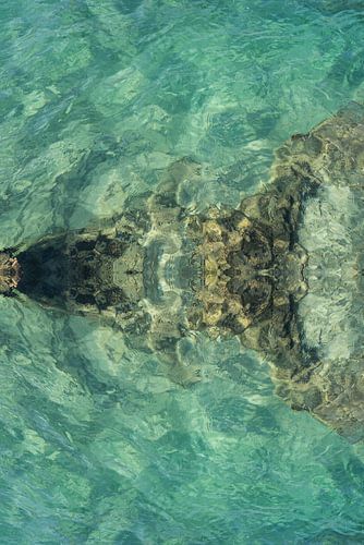 Turquoise zeewater en zachte golven