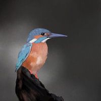 IJsvogel