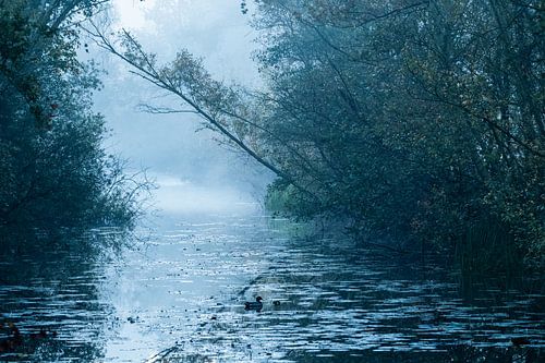 Park Domain The Weft