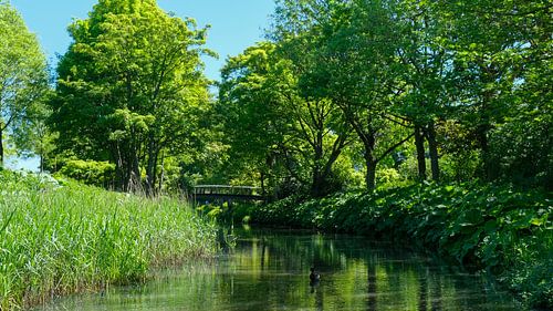 Westerpark, Amsterdam, Netherlands