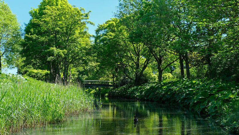 Westerpark, Amsterdam, Pays-Bas par themovingcloudsphotography
