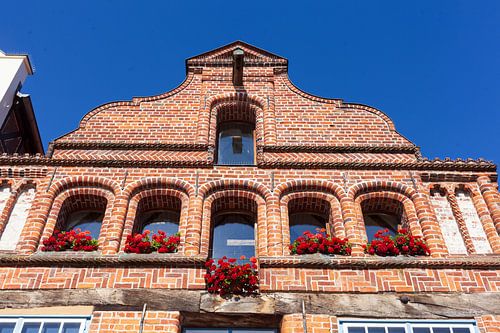 Historische Hausfassade  Am Stintmarkt, Altstadt, Lüneburg, Niedersachsen, Deutschland, Europa