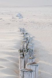 Reihe von Wellenbrechern am Strand von Cadzand von Marjolijn van den Berg