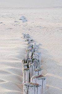 Reihe von Wellenbrechern am Strand von Cadzand