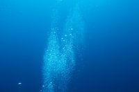 Air bubbles underwater