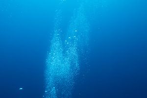 Luftblasen unter Wasser von Vanessa D.