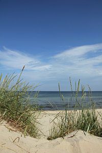 Duinen von Ostsee Bilder