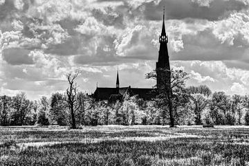 Amsterdam Woods Amsterdam Netherlands Black and White by Hendrik-Jan Kornelis