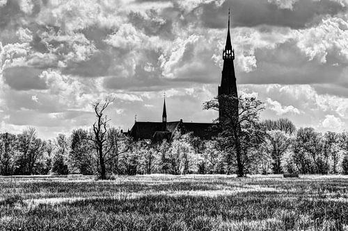 Amsterdams Bos Amsterdam Nederland Zwart-Wit
