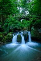 waterval in Luxemburg (Müllertal)