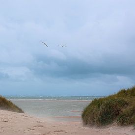 Texel, Duinen, wind, natuur,strand van judy-fotografie