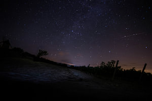 A sky full of stars