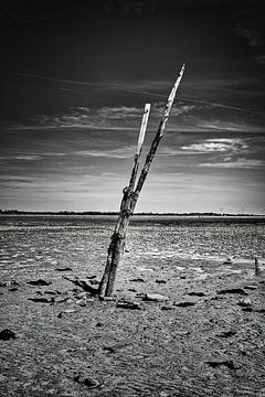 Stille auf See von Böhne fotografie