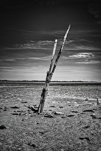 Silence at sea