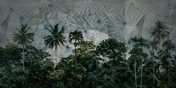 Geheimzinnig palmboom bos bij nacht van Vlindertuin-Art