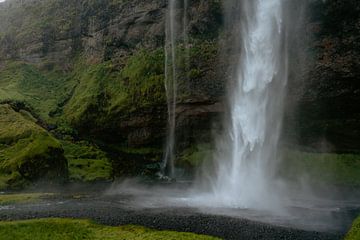 Chute d'eau sur Myrthe Vlasveld