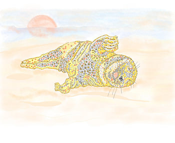 PHOCE sur la plage