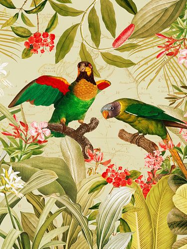 Kleurrijke nostalgische exotische papegaaien in een tropisch oerwoud 1