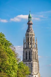Grote Kerk - Skyline von Breda - Nordbrabant - Niederlande von I Love Breda