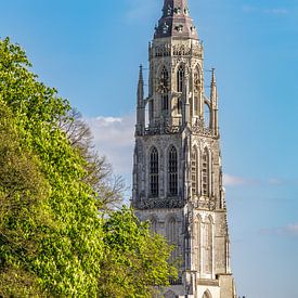 Grote Kerk - Skyline von Breda - Nordbrabant - Niederlande von I Love Breda