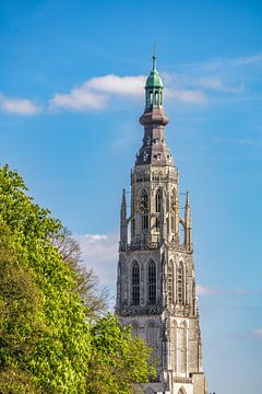 Grote Kerk - Breda skyline - North Brabant - Netherlands