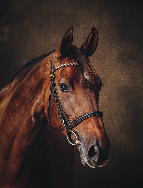 Kunstporträt Pferd mit Zaumzeug von Tinksphotoart