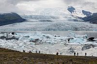 Fjallsárlón, lac glaciaire en Islande