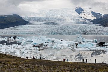 Fjallsárlón, gletsjermeer in IJsland van Linda Schouw