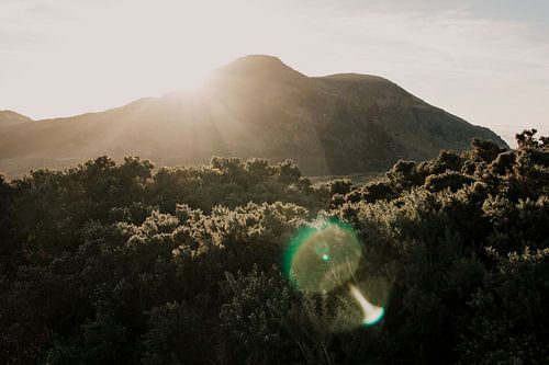 Arthurs Seat Mountain, Edinburgh at sunrise