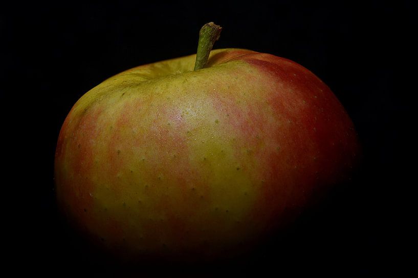 Apple by Rob Smit