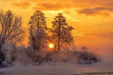 De adem van een ijzige ochtend (2) van Krzysztof Tollas