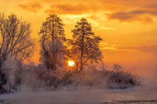 De adem van een ijzige ochtend (2)