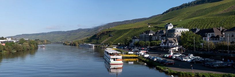 Bernkastel-Kues by Richard Wareham