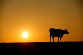 Zonsondergang von Milou van den Heuvel
