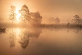 Pietzmoor dans la brume