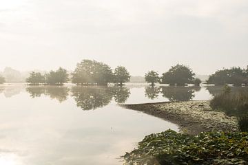 Mist aan het water van Mirjam Leyte