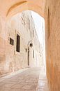 Schöne alte Straße in Mdina, Malta von Evelien Oerlemans Miniaturansicht