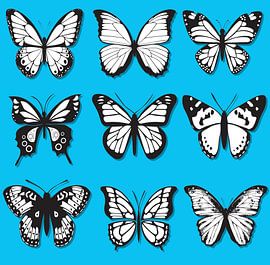 Butterflies black and white on a blue background by sarp demirel