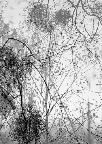 Refined natural lines by Anita Snik-Broeken