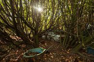 Verlaten Mercedes 300D in het bos by Angelo de Bruin thumbnail