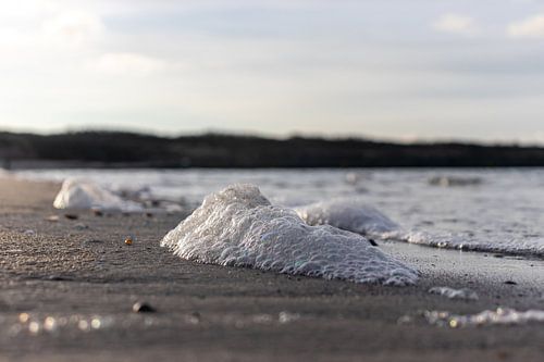 L'écume de mer sur la plage