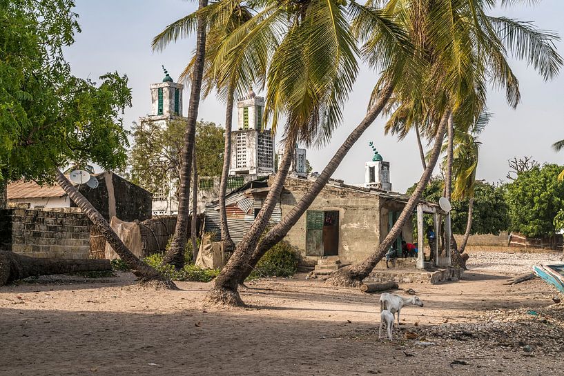 Jinack Island, Gambia von Peter Schickert