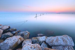 Fischreuse in weichem Licht