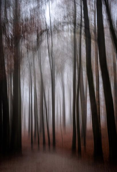 Park Sonsbeek Teil 6 von Tania Perneel