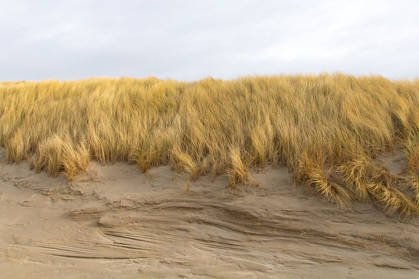 Dune light by Anna Thiessen