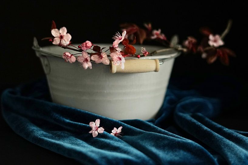 Nature morte fleur de cerisier dans un bac en zinc | Fine-art photography par Manûah Pictures | Manuela van de Pol