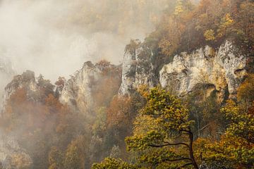 Nebelverhangene Jurakalksteinfelsen im Naturschutzgebiet Stiegelesfels bei Fridingen - Naturpark Obere Donau von BlattArt - Christine Horn