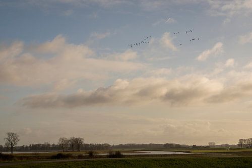 Wandelen aan de waterkant, de Maas.